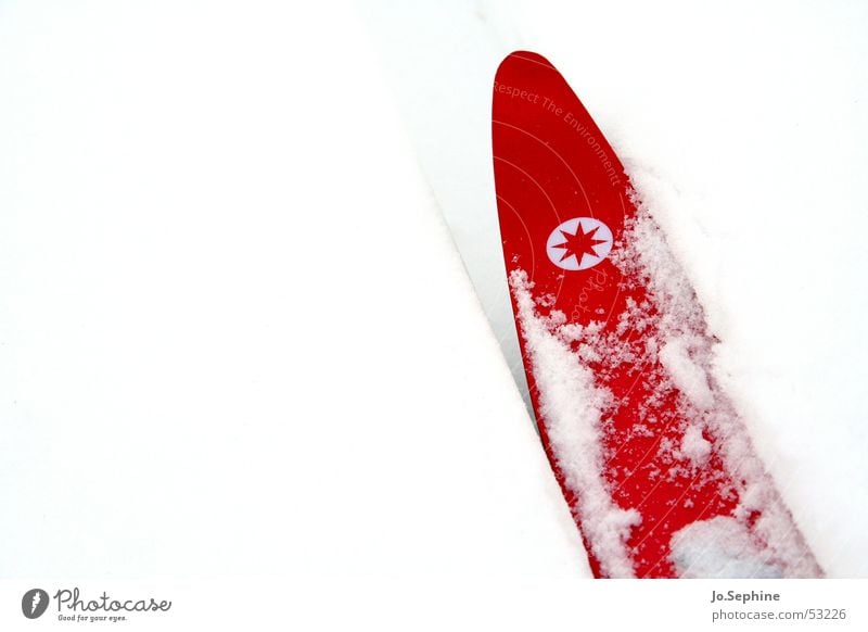 Red on White I Leisure and hobbies Cross country skiing Skiing Skis Winter sports Sports Winter vacation Snow chill Seasons Frost Colour photo