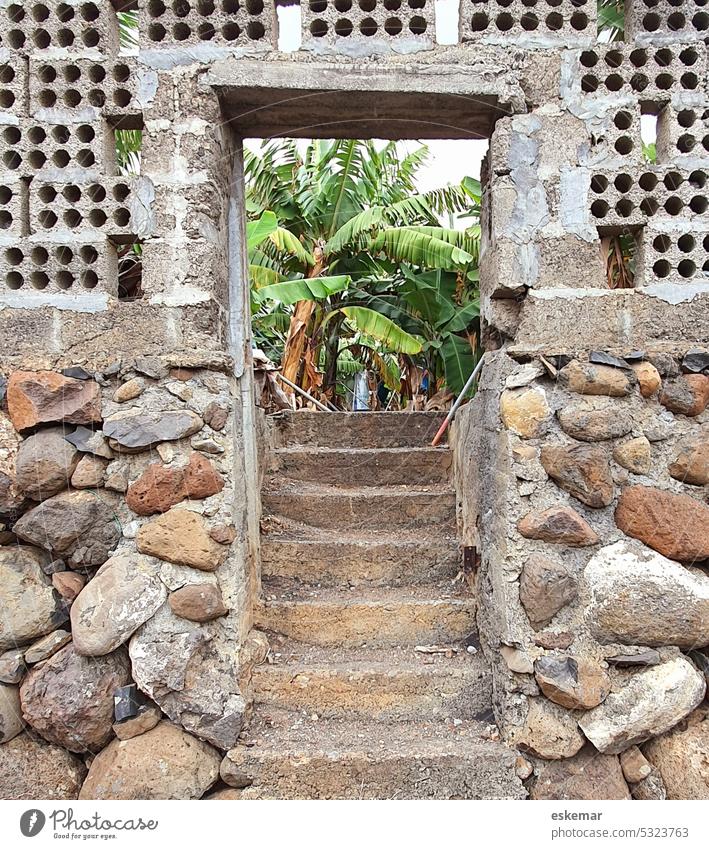 Spain Canary Islands La Palma entrance to a banana plantation Banana plantation Exterior shot Colour photo Deserted Day Agricultural crop Foliage plant Plant