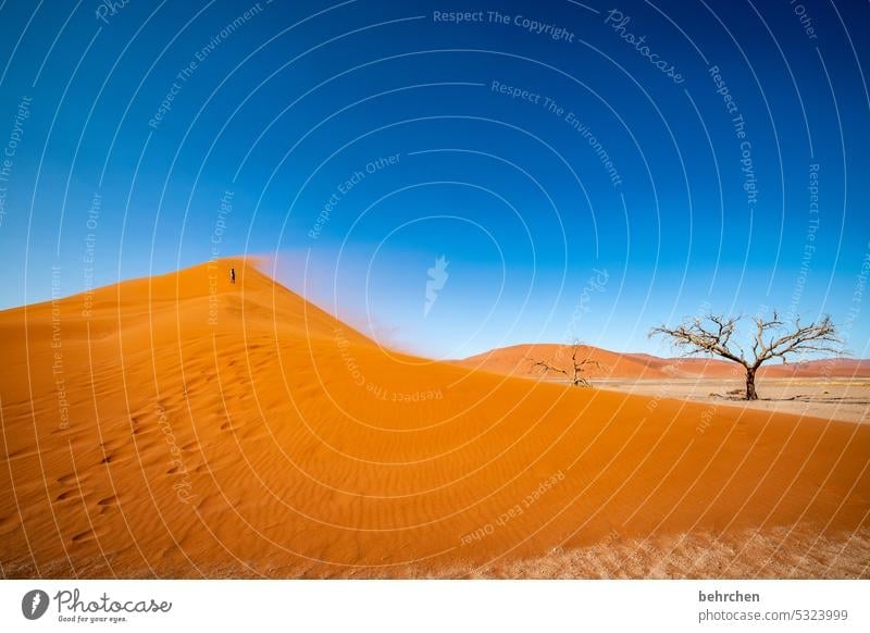 my very last favorite topic | namibia...heartland sand dune magical Impressive duene dunes Loneliness Landscape Wanderlust Far-off places Namibia Africa Desert