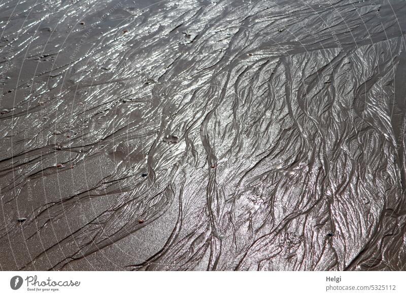 Sand structures in wet sand at low tide on beach Beach North Sea coast Pattern Low tide Sunlight reflection Mud flats Tide Slick Wet Summer Relaxation