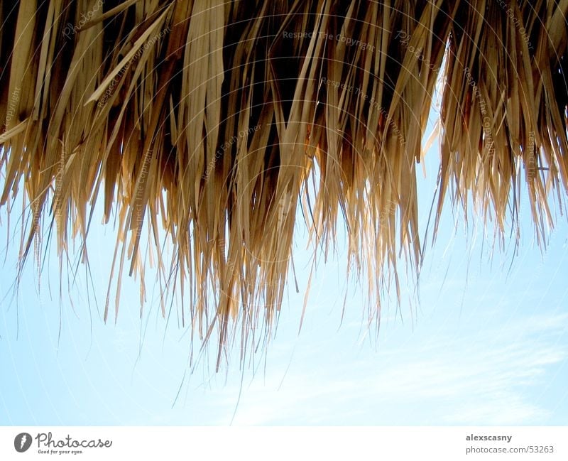 thatched roof Clouds Beautiful weather Thatched roof Venezuela Blue sky Cuba
