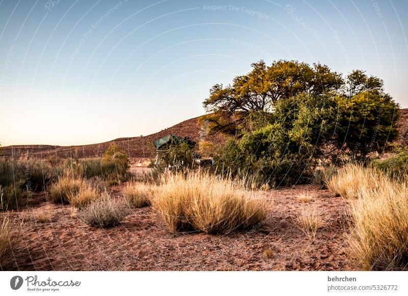 wild namibia Dream Twilight Africa Loneliness magical Landscape Desert Vacation & Travel Sky Gorgeous romantic Bushes Sunset Nature Wanderlust Wilderness