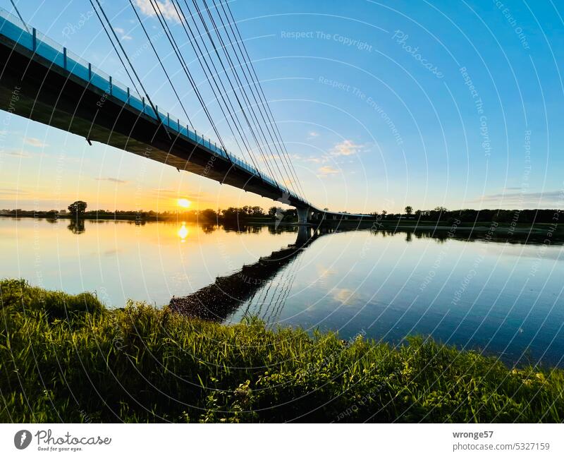 Evening atmosphere at the Phylon Bridge over the Elbe near Schönebeck evening mood River River bank Twilight reflection Reflection in the water Water