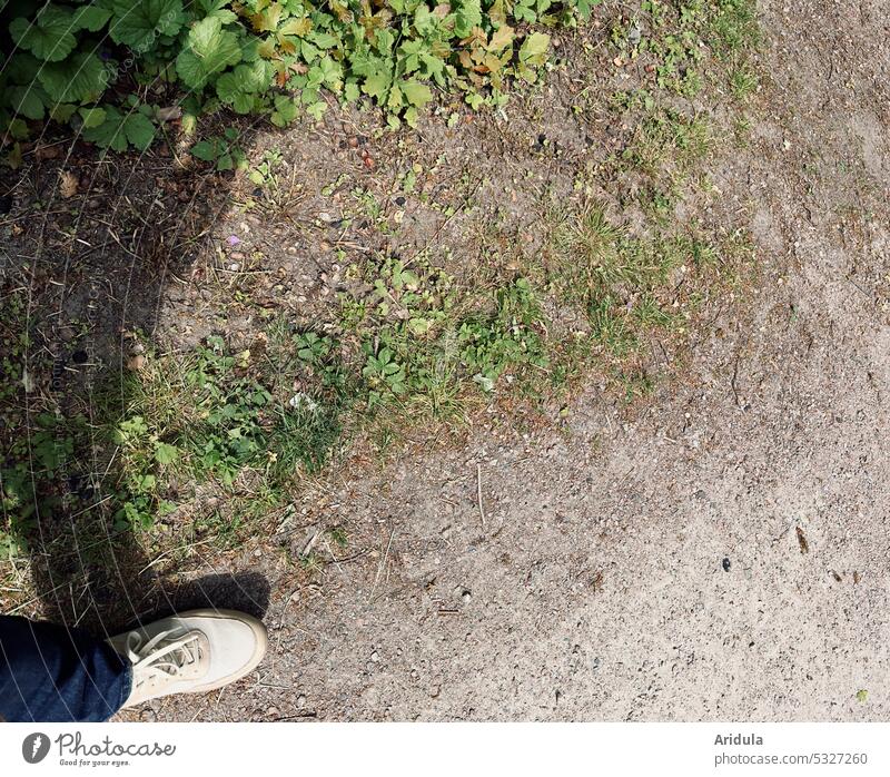 Shoe, shadow and path shoe Shadow off Going Walking Human being Lanes & trails Street To go for a walk Pedestrian plants uncontrolled growth Weed