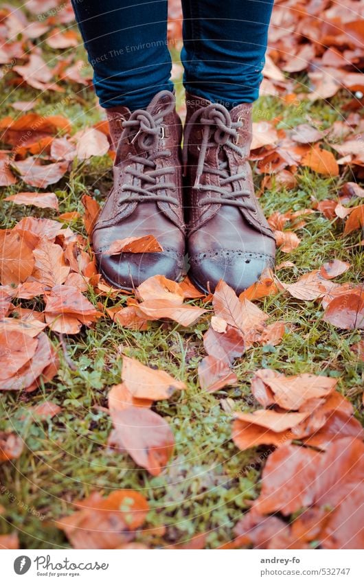 Wet shoes. Feet Fashion Leather Footwear Stand Brown Climate half boots Leaf Autumn Autumn leaves 2 Leather shoes Floor covering Grass Rain Autumnal weather