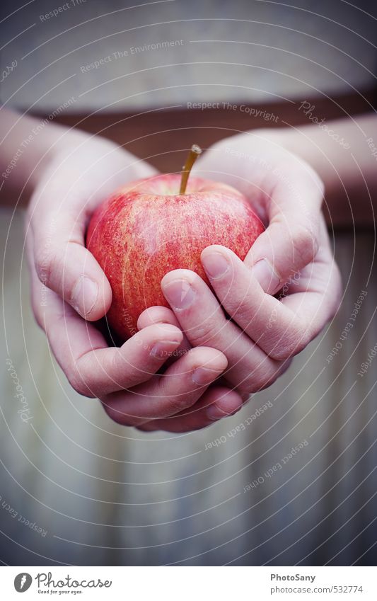 apples, apples... Apple Human being Hand Fingers 1 Bright Cold Retro Brown Red Snow White Fairy tale Colour photo Exterior shot Close-up Twilight Blur