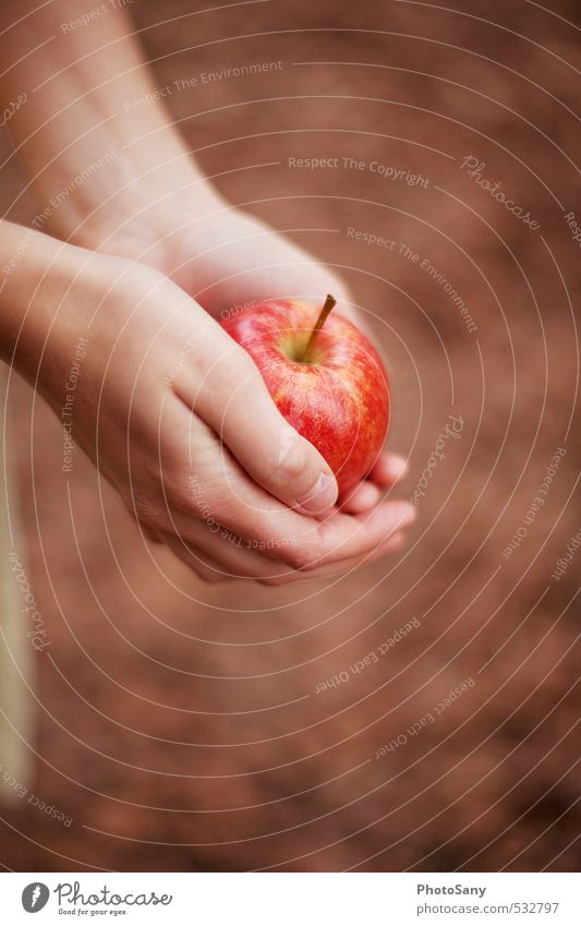 Is it Snow White? Apple Skin Hand Fingers 1 Human being Delicious Beautiful Brown Red Fairy tale Autumnal Colour photo Exterior shot Day Blur Bird's-eye view