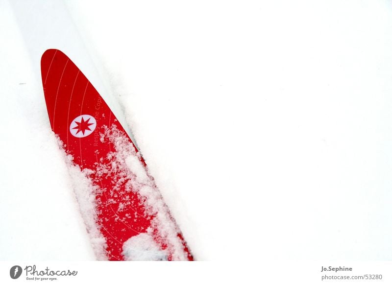Red on White II Leisure and hobbies Cross country skiing Skiing Skis Sports Winter sports Winter vacation Seasons Snow Frost chill Neutral Background Day detail