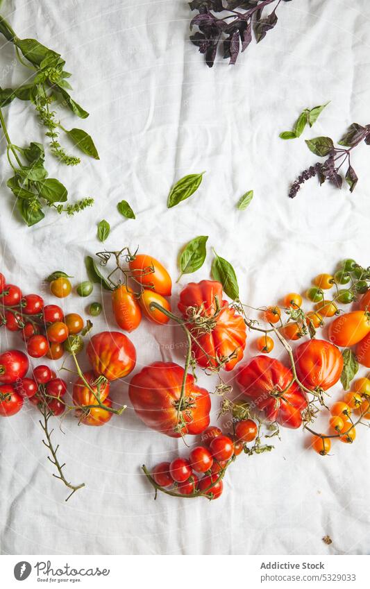 Fresh ripe beef tomatoes on white clothing red fresh raw leaf branch vegetable fabric stem various healthy food natural delicious tasty rough vitamin harvest