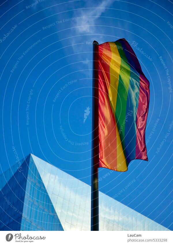 Long live diversity! rainbow flag Rainbow Prismatic colors variety Freedom Rainbow flag Equality Tolerant symbol Homosexual Transgender LGBTQ Love colourful