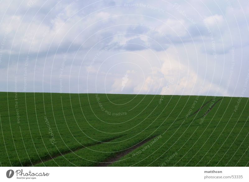 Way to heaven Field Spring Isserstedt Jump Exterior shot overcast sky Lanes & trails Grain before the rain comes clouds way Landscape