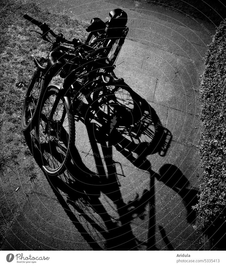 Two bicycles parked on the path at night and cast a strong shadow Bicycle Wheel Parking Parking of bicycles Cycling Town Parking lot Deserted Means of transport