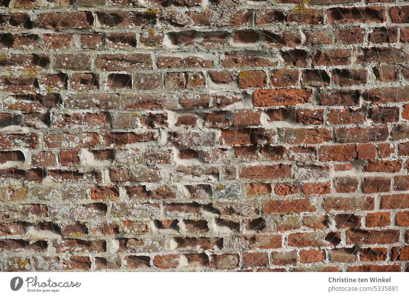 A very old brick wall Brick facade Brick wall Wall (building) Wall (barrier) Facade Old Bricks repaired Red Stone Structures and shapes vintage Building mended