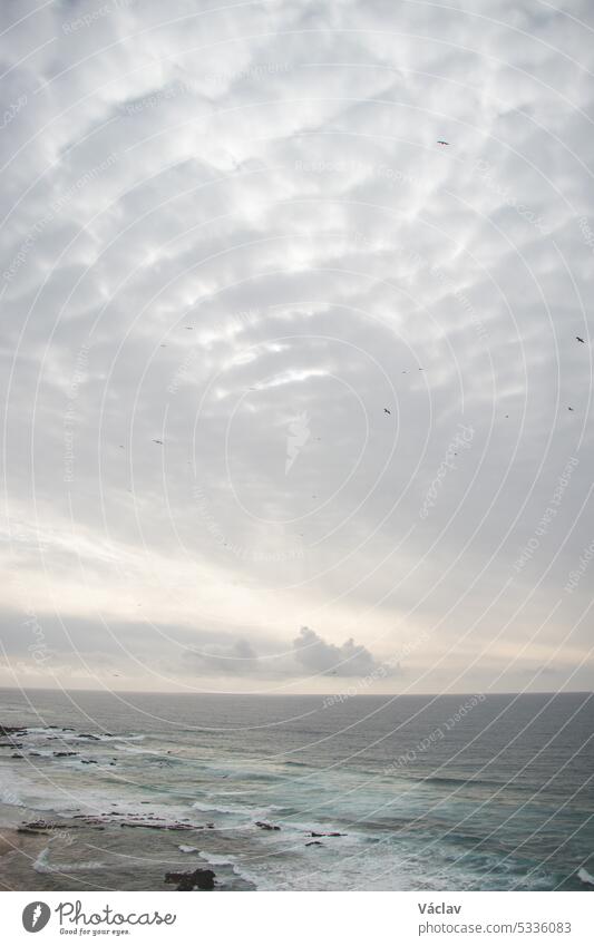 Endless sky full of clouds and flying birds looking for their prey in the depths of the ocean. The Portuguese coast. Wandering the Fisherman Trail storm wave