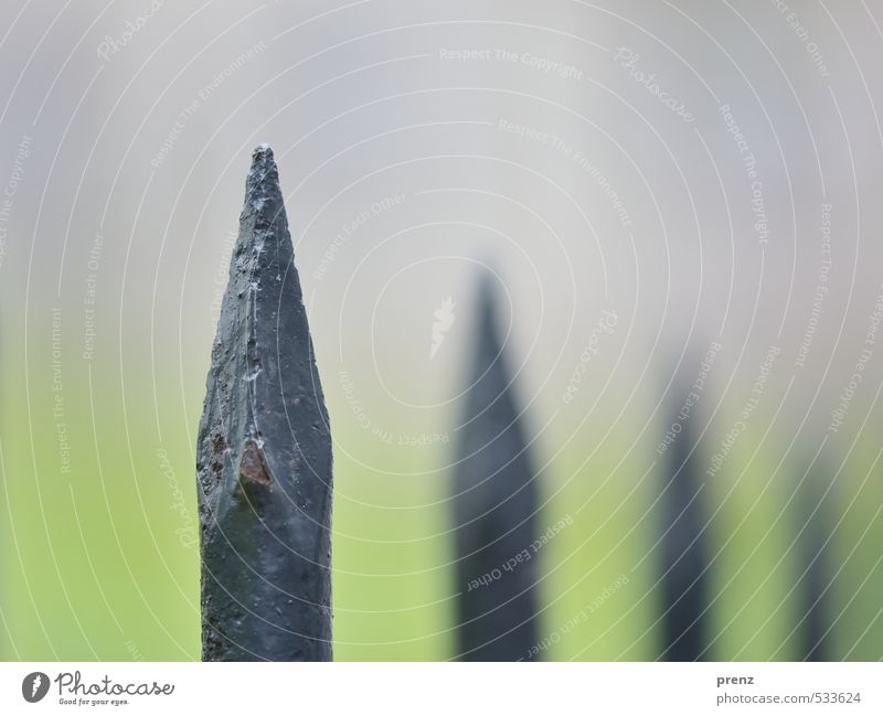 peak Metal Point Gray Green Line Perspective Fence Fence post Old Iron Iron rod Close-up Macro (Extreme close-up) Colour photo Exterior shot Deserted