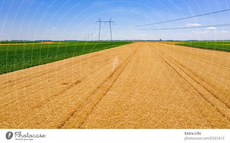 Aerial view over agricultural fields in summer with cereals, wheat is ripe for harvest Above Agriculture Cable Cereal Construction Country Crop Divided Dry