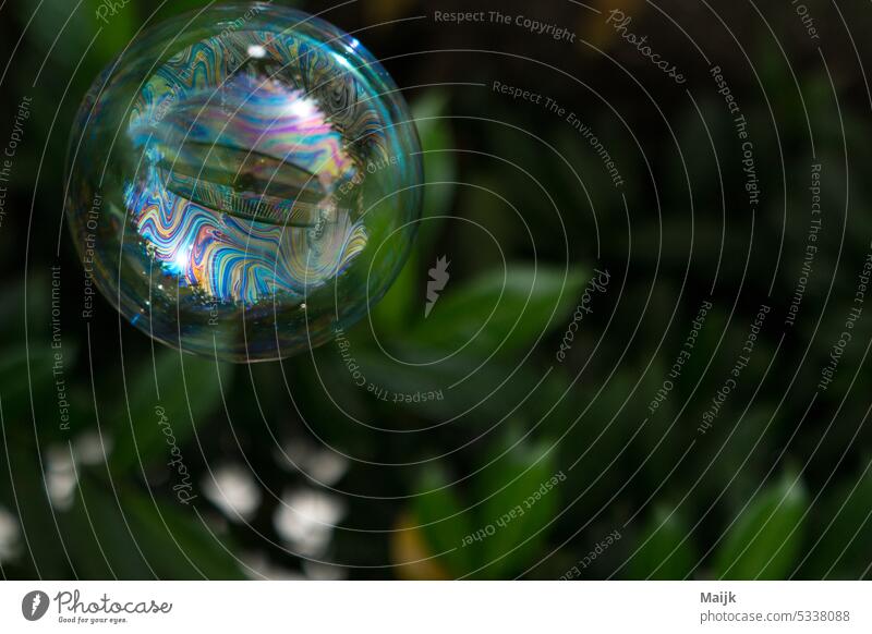 soap bubble Soap bubble Reflection Exterior shot Colour photo Shallow depth of field Glittering Deserted Day Sphere Light Round Close-up Bubble Hover Ease