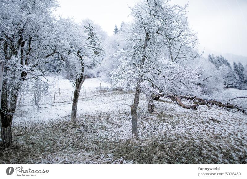 Winter landscape with snow covered trees snowy Snow Winter's day Winter mood winter White Cold Winter walk Twigs and branches Nature Snowscape winter landscape