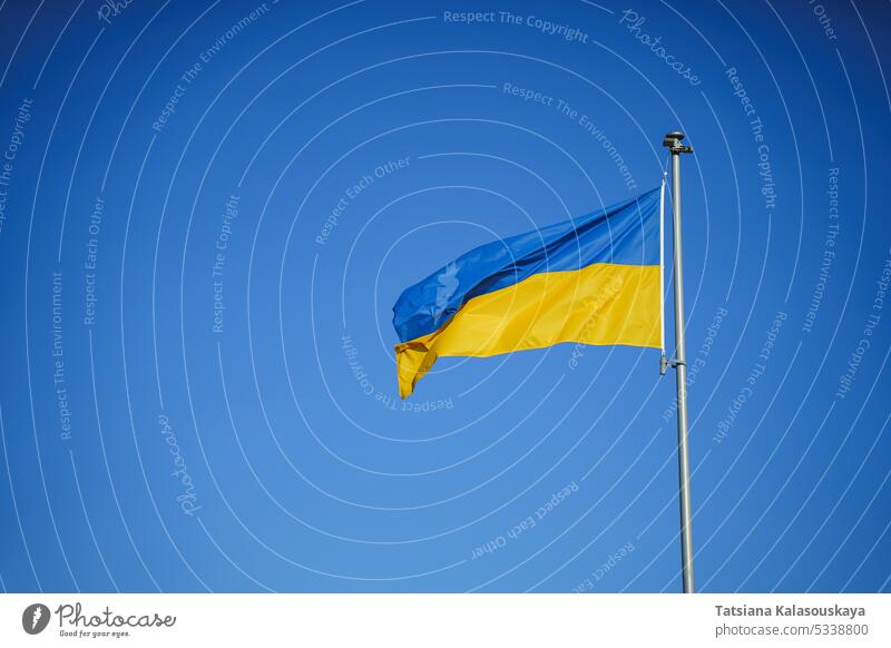 Yellow-blue flag of Ukraine in the wind against the background of a cloudless sky ukraine ukrainian country symbol sign europe yellow wave pole national