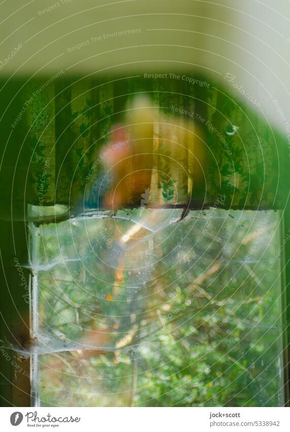 Lost Land Love II lost among greenery and land Window Corner Green fauna Drape Double exposure Reaction Abstract Silhouette defocused bokeh blurriness