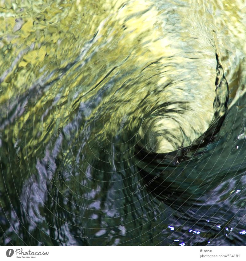 stirred - not shaken vertebra whirlpools Water Waves Elements Brook River Lake Swirl Whirlpool Spiral Rotate Threat naturally Wild Gold Green Force Fear