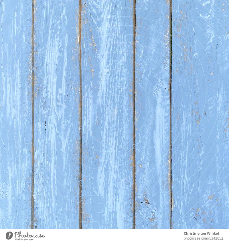 A beautiful light blue rustic wooden background Blue Bright Colour Uniqueness Pattern Authentic Background picture Structures and shapes Wood Wooden boards