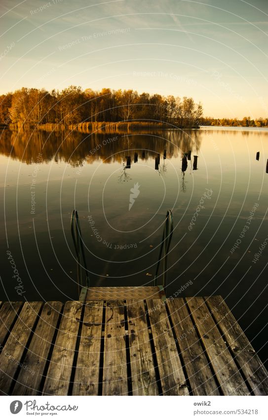 Olba Environment Nature Landscape Water Cloudless sky Horizon Autumn Climate Weather Beautiful weather Plant Tree Lakeside Island Wood Metal Idyll