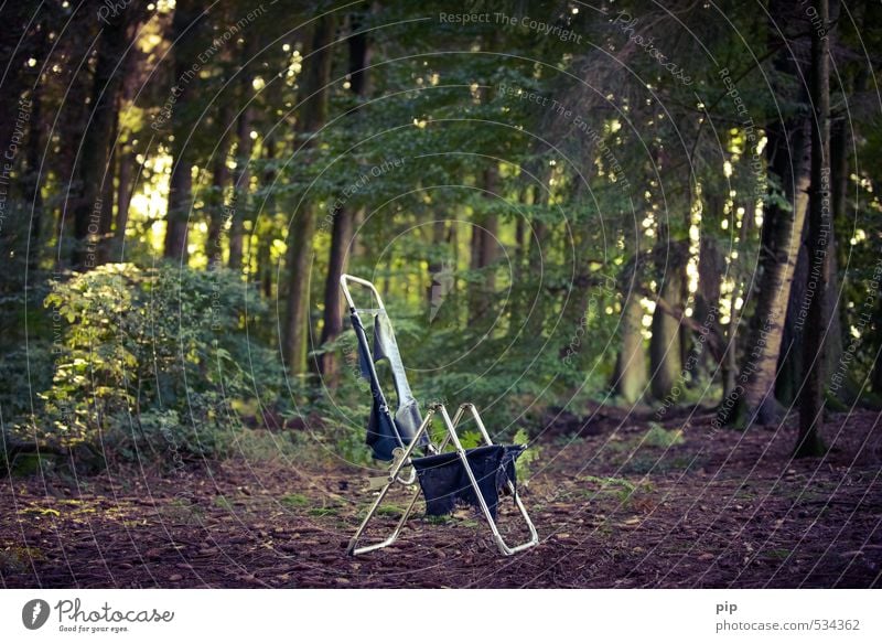 peacefulness of the forest Camping Chair Deckchair Camping chair Folding chair Environment Nature Plant Summer Beautiful weather Tree Bushes Forest Metal Calm