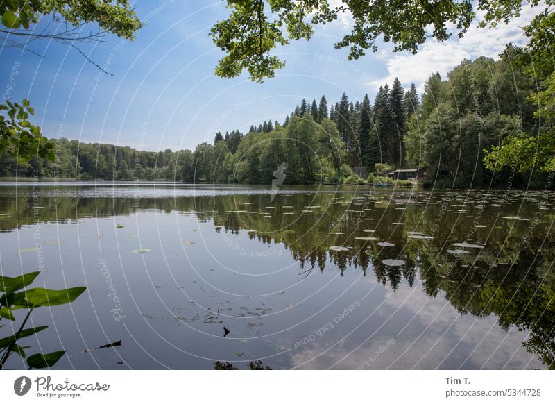 forest lake Forest lake Lake Brandenburg Spring Reflection Sky Colour photo Nature Exterior shot Water Lakeside Deserted Landscape Tree Idyll Day Environment