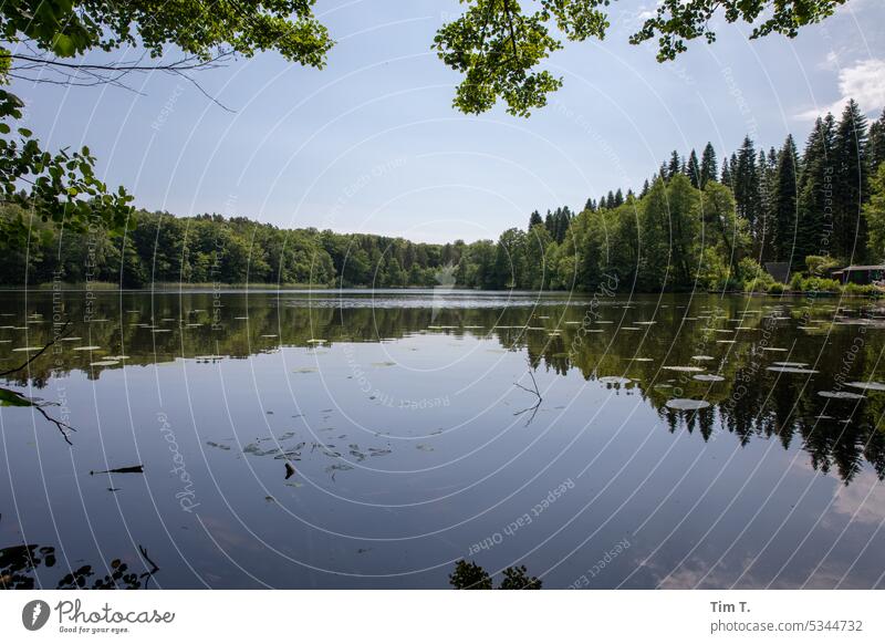 forest lake Forest lake Brandenburg Spring Exterior shot Nature Lake Deserted Tree Water Colour photo Lakeside Landscape Day Reflection Environment