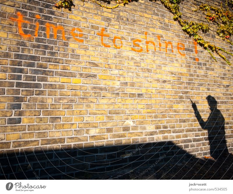 time to shine! Fern Kreuzberg Wall (barrier) Brick Exclamation mark Warmth Joie de vivre (Vitality) Wisdom Experience Idea Creativity Dream Street art English