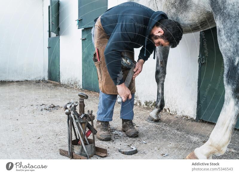 Farrier shoeing horse outside barn man farrier horseshoe stable ranch attach work hoof nail male hammer hit mammal animal equine manual gray tool labor farm