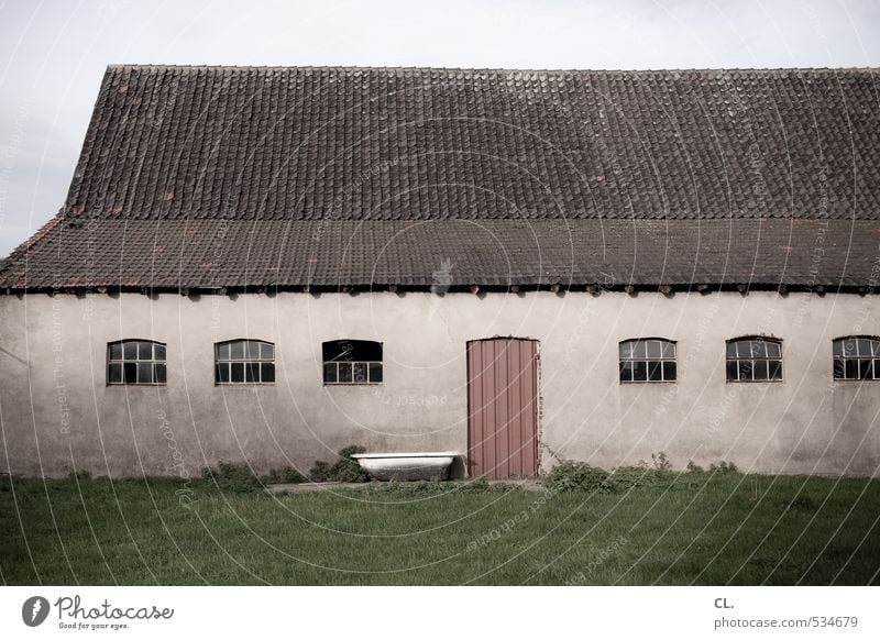 the farmer's farm Environment Nature Landscape Grass Meadow Field Deserted House (Residential Structure) Building Wall (barrier) Wall (building) Window Door