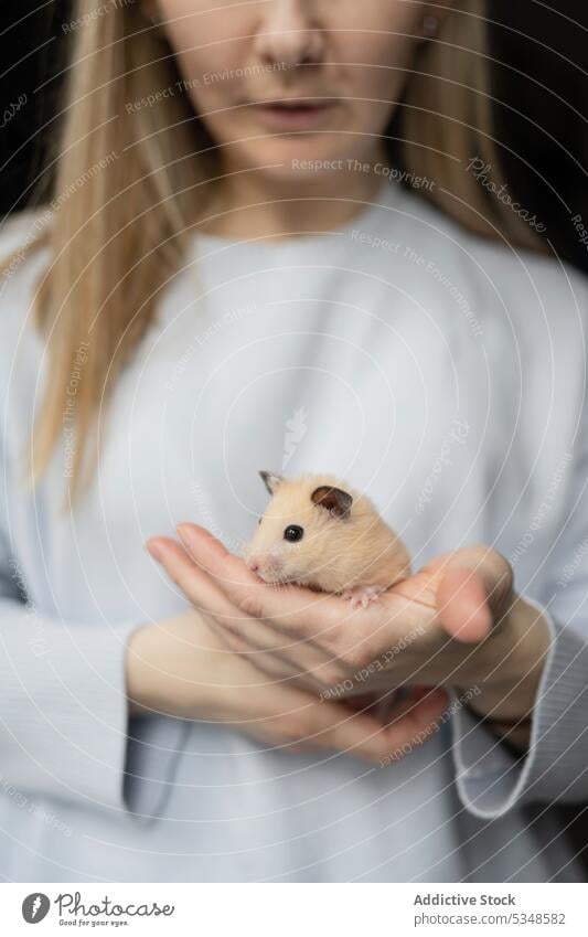 Crop anonymous woman standing with pet hamster in hand blond animal white dress elegant calm owner female lady feminine style appearance outfit inside alone