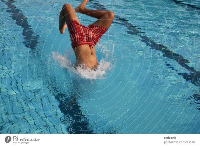 Jump into the cool water Joy Summer Swimming pool Man Adults Water Wet Blue Headfirst dive Colour photo Exterior shot Morning Refreshment Swimming & Bathing