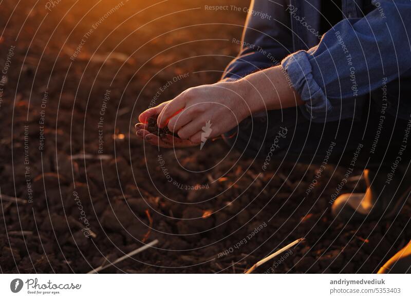 Male farmer's hand holds a handful of dry ground and checks soil fertility and quality before sowing crops on plowed field at sunset. Cultivated land. Concept of organic agriculture and agribusiness