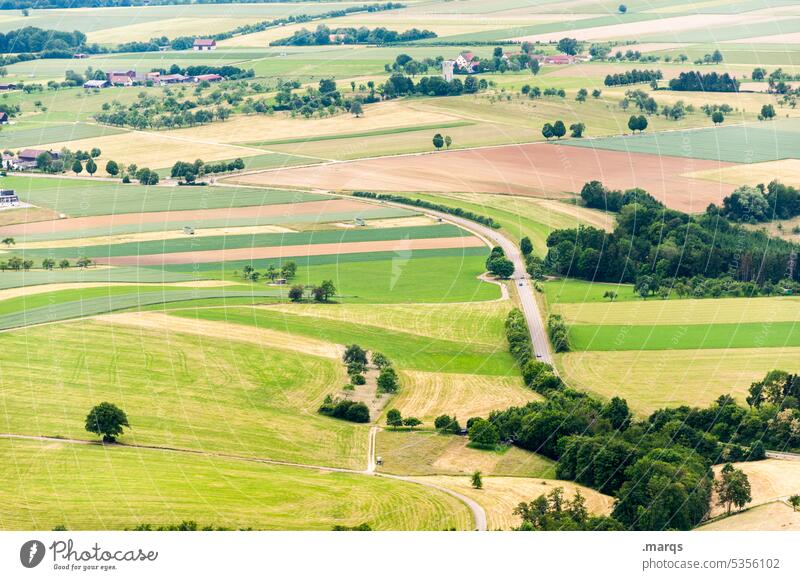 overland Bird's-eye view Meadow Rural Country road Landscape Street Field Nature Green Agriculture Summer