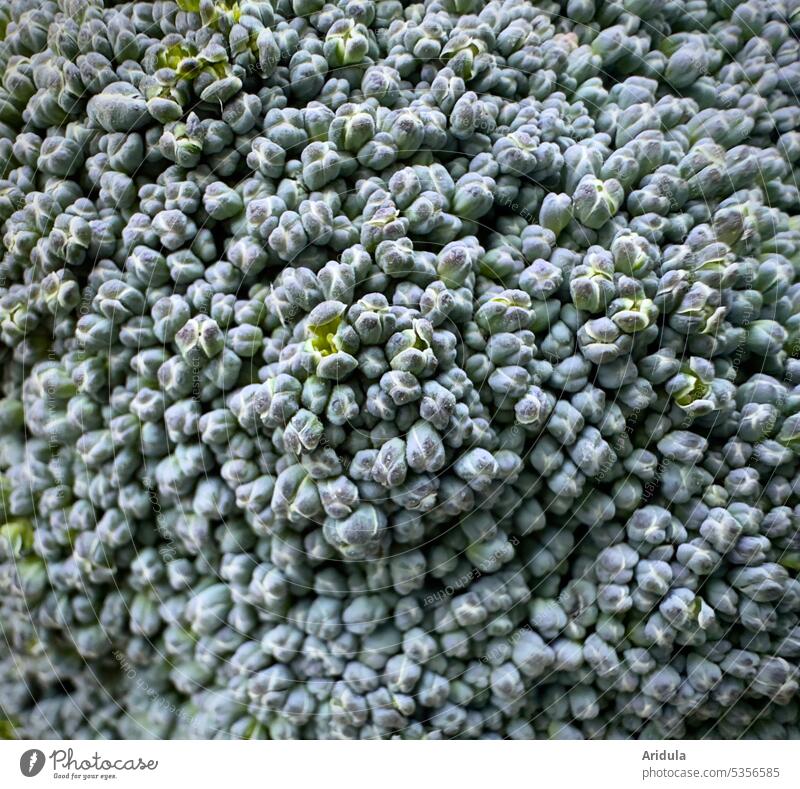 Broccoli buds Close-up Vegetable Green salubriously Food Healthy Nutrition Vegetarian diet Fresh Organic produce Eating Healthy Eating Vegan diet
