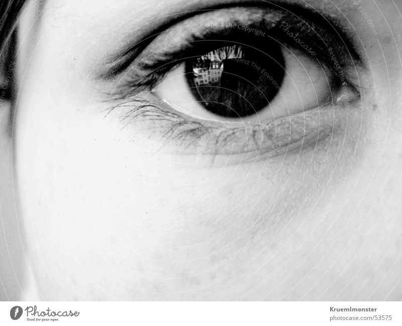 view Black Eyelash Eye shadow Pupil Eyes Looking Black & white photo