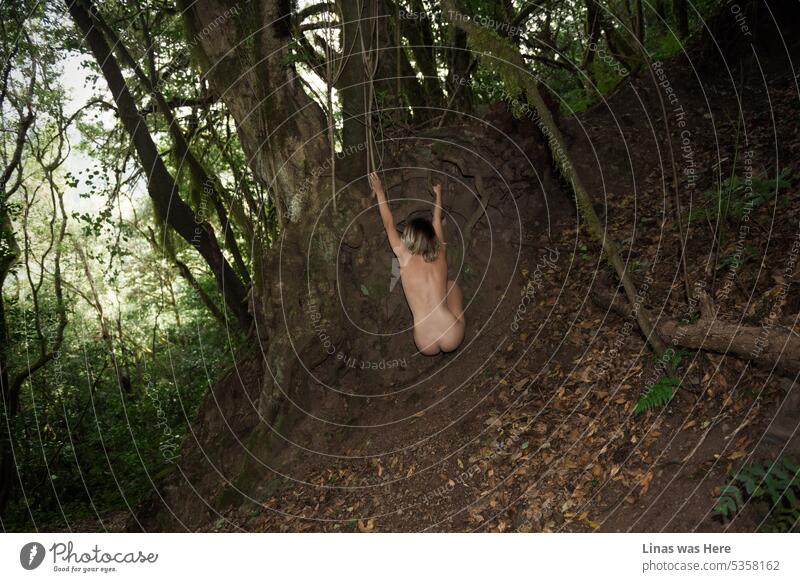 What a great massive forest for a naked stroll. A gorgeous naked girl is all wild and pretty in this jungle. Creepy roots and green trees surround her. And a nude woman is definitely feeling free out in the wilderness.