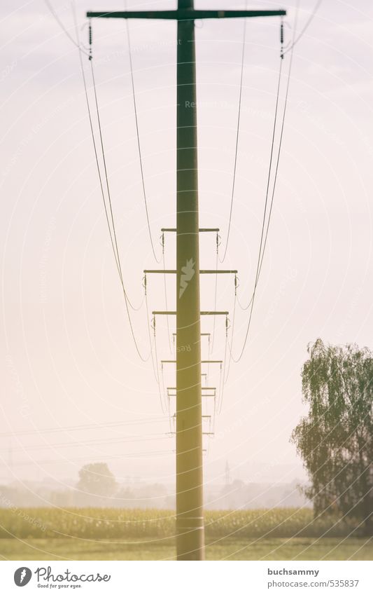 Overhead line masts in the morning haze Energy industry Technology Renewable energy Nature Landscape Autumn Beautiful weather Tree Meadow Field