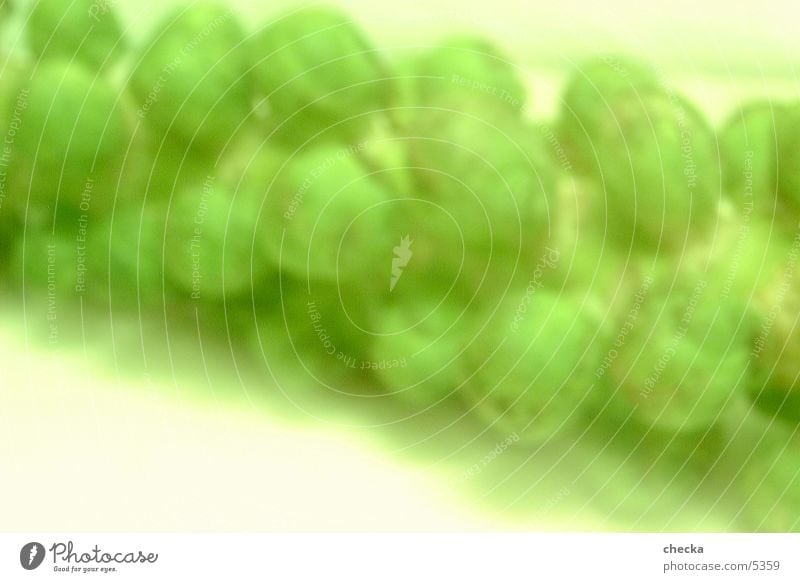 cabbage Background picture Green Fresh Photographic technology Vegetable