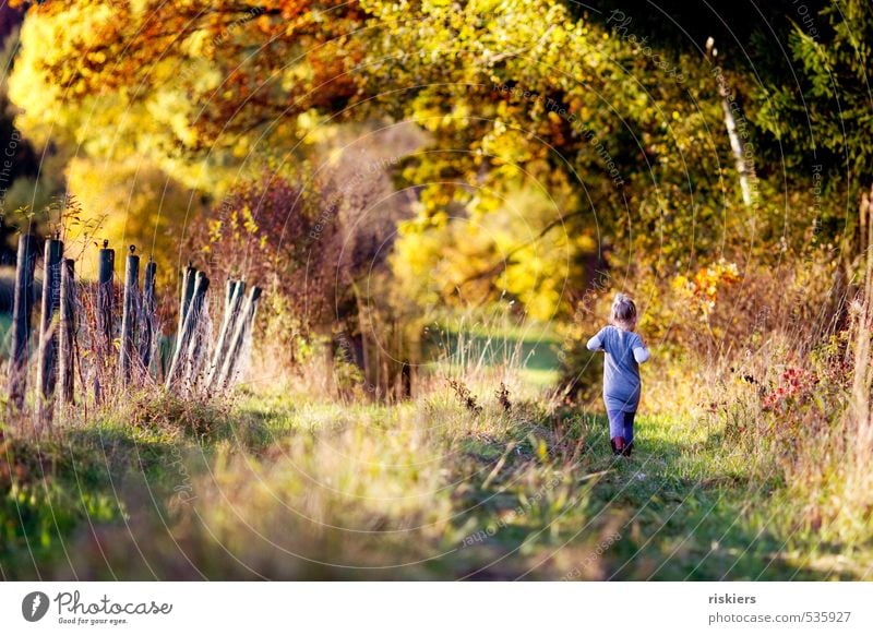 with tight steps through the autumn :) Human being Feminine Child Girl Infancy 1 3 - 8 years Environment Nature Landscape Sunrise Sunset Sunlight Autumn
