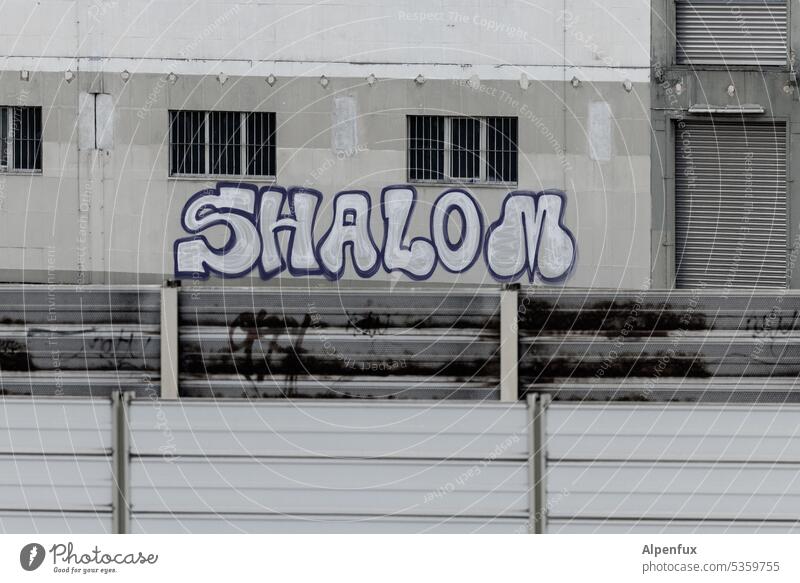 SHALOM Graffito Colour photo Deserted Exterior shot Wall (barrier) Hebrew Peace Graffiti Facade Peace Wish Mural painting Subculture Letters (alphabet)
