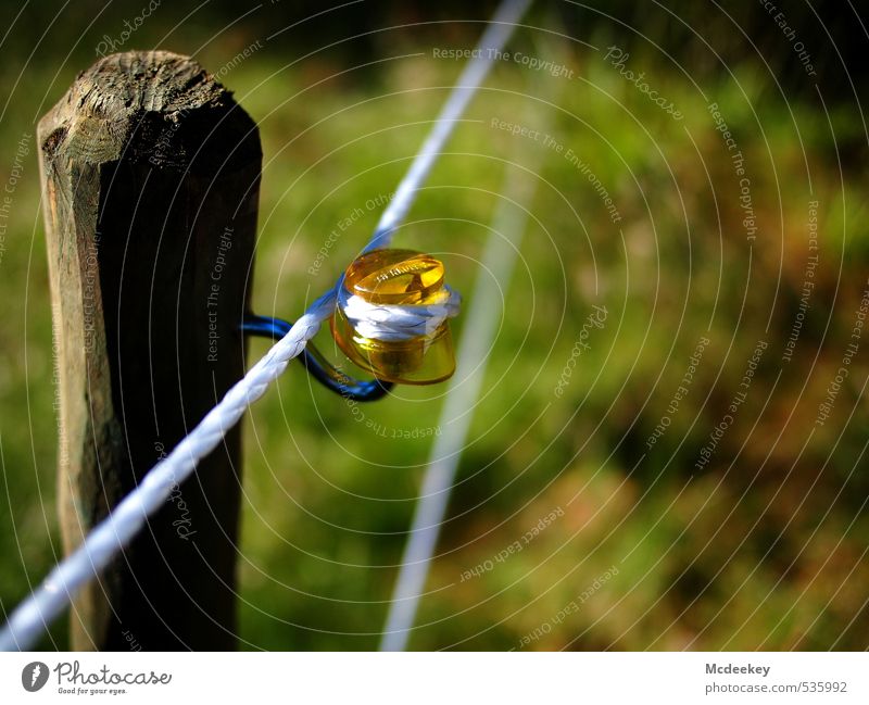 Do not touch recommended! Wood Metal Plastic Stand Threat Blue Brown Multicoloured Yellow Gray Green Orange Black White Conduct Electrocution Electricity Fence