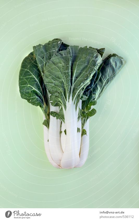 Modern_Vegetable_06 Graphic Art Concepts &  Topics Design Cooking Kitchen Plant Exotic Interesting Colour Composing Arranged Arrangement Cabbage Chinese cabbage