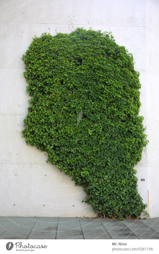 The power of nature Ivy Plant Facade Foliage plant Growth Green Building Creeper Overgrown Manmade structures Tendril green Green facade climbing plant