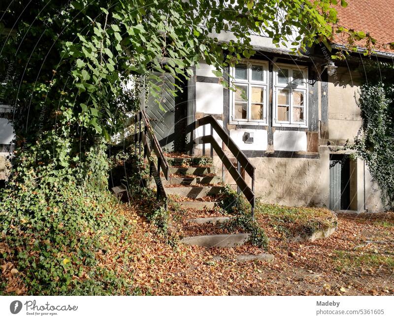 Beautiful old half-timbered house in the green in summer against blue sky with sunshine in the green near Brake Castle in the Old Hanseatic City of Lemgo near Detmold in East Westphalia Lippe