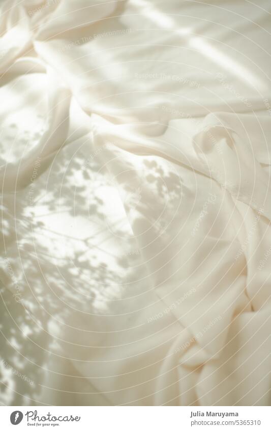 Beige silk or satin fabric with sunlight and shadows of flowers flower shadow baby's breath sunshine cotton background isolated sheet soft texture textured
