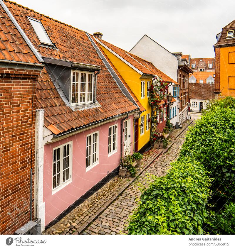 View from diagonal above small colorful houses of Roldgade alley in Aalborg, square, 1:1 square format Alley Denmark North Jutland Limfjord Housefront
